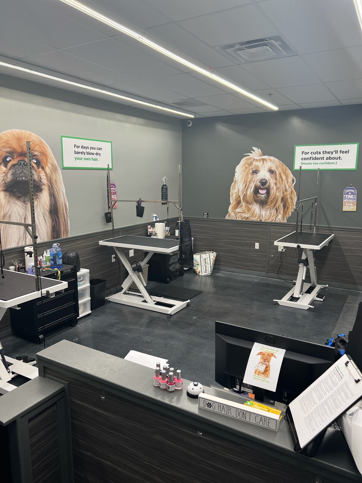 Pets plus hot sale grooming salon